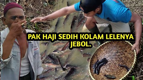 PANEN IKAN LELE JEBOLAN EMPANG BERSERAKAN YouTube