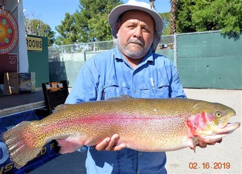 Santa Ana River Lakes - Fish Reports & Map