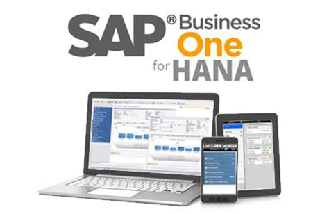 Sap Business One Hana Sap Hana Platform Pts Sap Partner