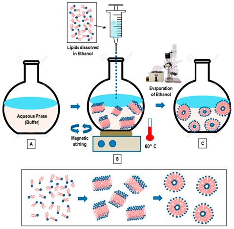 Conventional Liposomal Formulation Methods Encyclopedia Mdpi