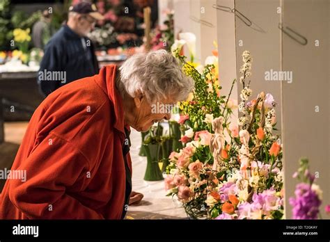 Mature Plants Hi Res Stock Photography And Images Alamy