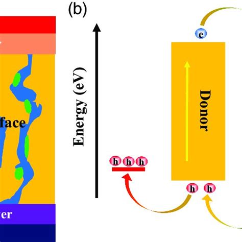 A Bilayer Structure Of Organic Solar Cells Oscs Two Layers Of Download Scientific Diagram