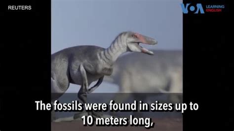 Scientists Find Dinosaur Fossils in Patagonia