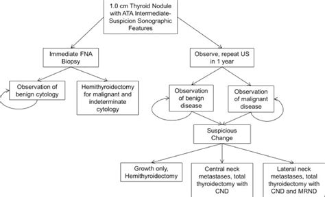 Cost Effectiveness Of Immediate Biopsy Versus Surveillance Of Intermediate Suspicion Thyroid