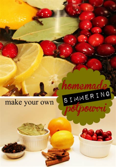 Homemade Simmering Potpourri Recipe The Sits Girls