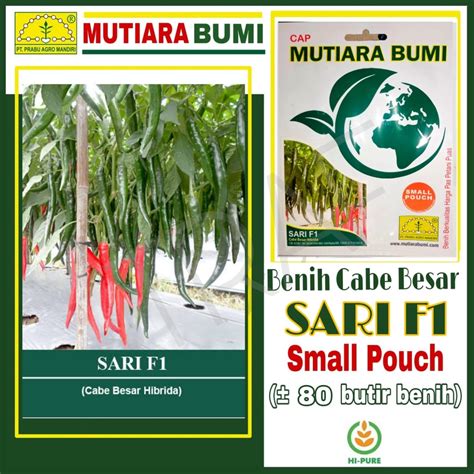 Jual Benih Cabe Besar Hibrida Sari F Small Pouch Kemasan Kecil Isi