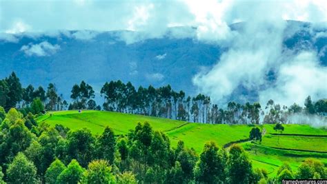 7 Vattavada Tourist Places To Visit: Hidden Paradise in Munnar