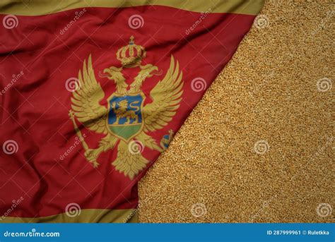 Wheat Grain On The Waving Colorful National Flag Of Montenegro Macro