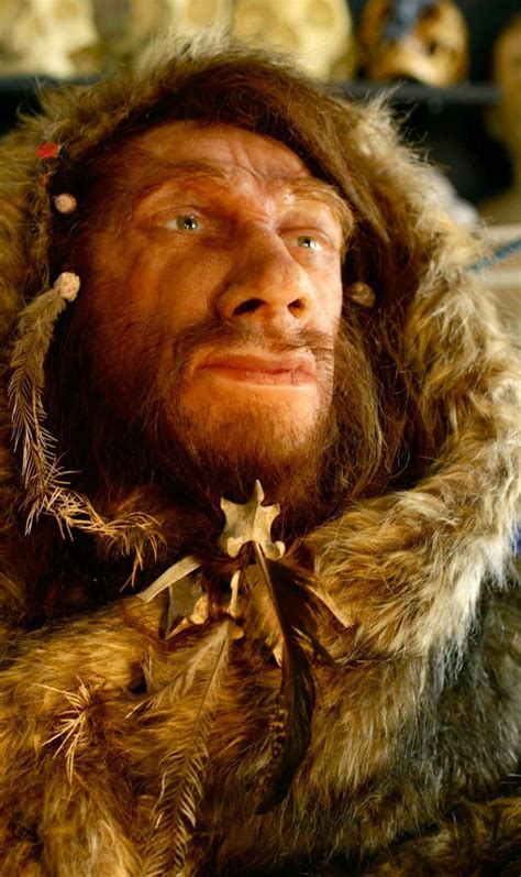 Neanderthal Clothing