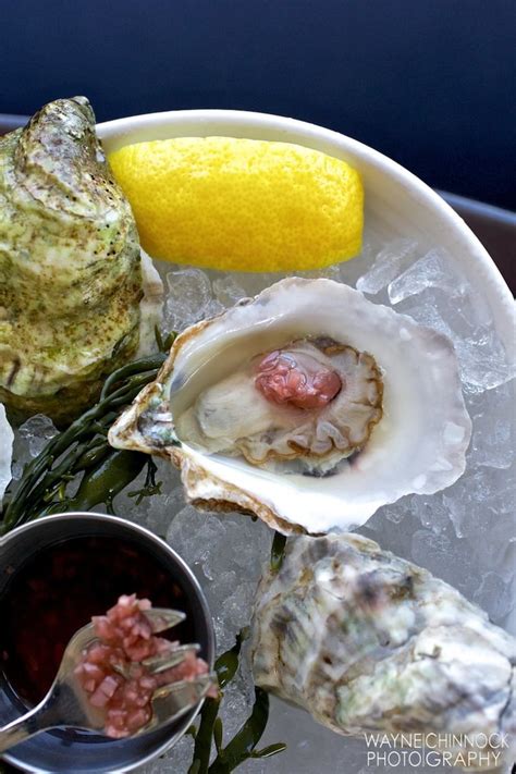 Cru Nantucket Oysters Oysters Sustainable Fishing Nantucket Island