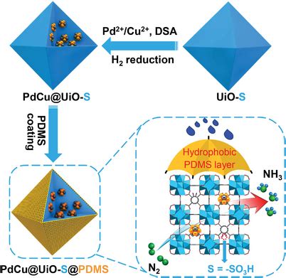 Schematic Illustration For The Stepwise Synthesis Of Pdcu Uios Pdms