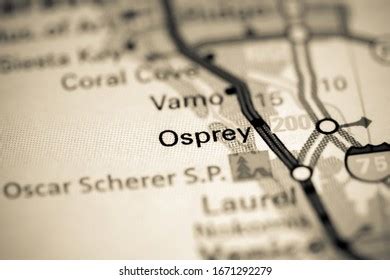 Osprey Florida Usa On Map Stock Photo 1671292279 | Shutterstock