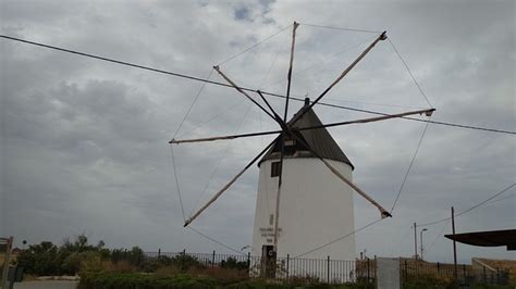 Windmill Torre-Pacheco Field Of - Free photo on Pixabay - Pixabay