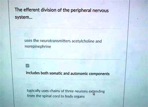 Solved The Efferent Division Of The Peripheral Nervous System Uses