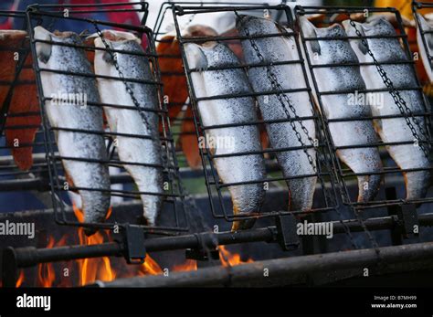 Preparation of Salmon Stock Photo - Alamy