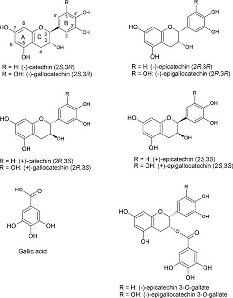 Chemical Structure Of The Most Important Groups Of Tea Catechins And Download Scientific