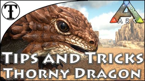 Fast Thorny Dragon Taming Guide Ark Survival Evolved Tips And