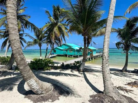 It S Been A Slow Year For Sargassum On Ambergris Caye So Far San