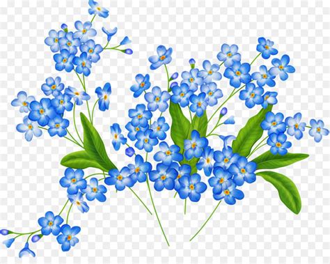 Незабудка рисунок (45 фото)