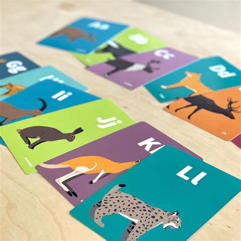 Animal Alphabet Flashcards Mammals From Around The World Abcs Animal