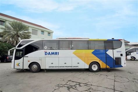 Foto DAMRI Operasikan Rute Bogor Purwokerto Tarif Rp 165 000