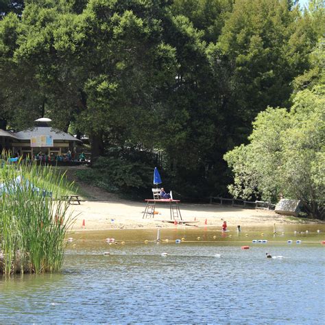 Are Dogs Allowed In Lake Anza Berkeley