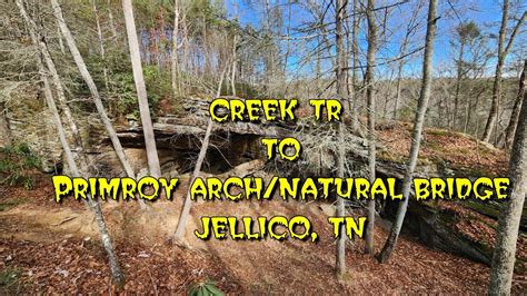 Jellico Creek Trail To Primroy Arch Natural Bridge Outside Of Tackett Creek Tn 11 26 2022