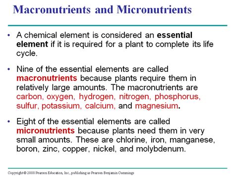 Soil And Plant Nutrition Presentation Biology