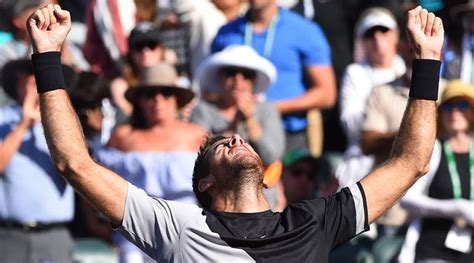 Juan Martin Del Potro Snaps Roger Federers Winning Streak To Win