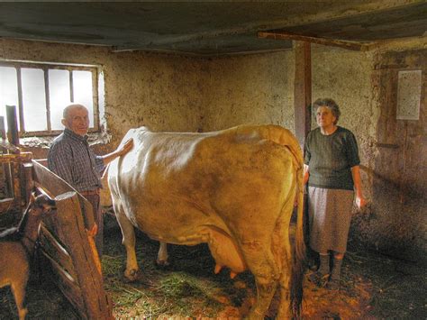 Source of Milk in Gerovo Photograph by Don Wolf