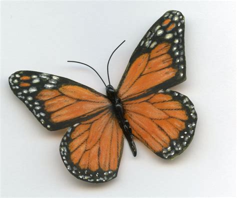 Create Realistic Butterflies Linda