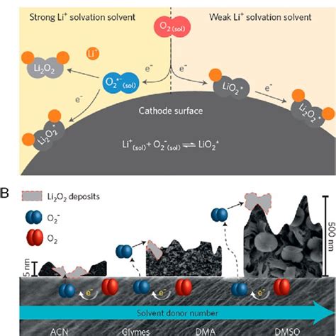 PDF LithiumOxygen Batteries And Related Systems Potential Status