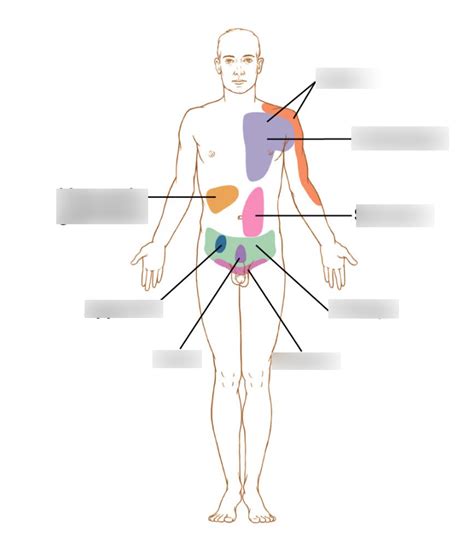 Referred Pain Diagram | Quizlet