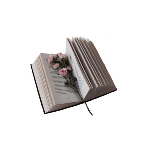 An Open Book With Pink Flowers On It