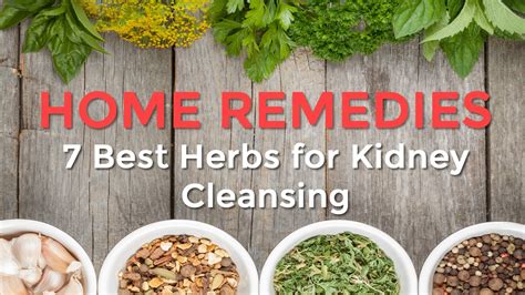 Kidney Cleansing Herbs