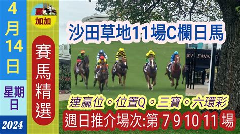 🐎4月14日🚨星期日 賽馬精選🌞沙田11場草地日賽509😊本頻道的賽馬貼士祇能作為參考之用👌😃溫馨提示小注可怡情視為娛樂玩票