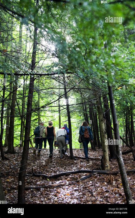 Group People Hike Through Woods Hi Res Stock Photography And Images Alamy