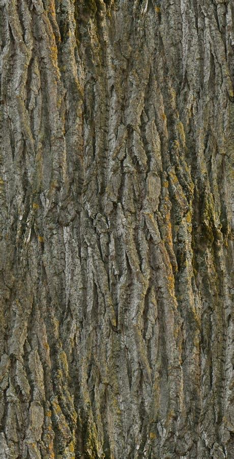 Tree Trunk Seamless Texture Background Stock Image - Image of wooden ...