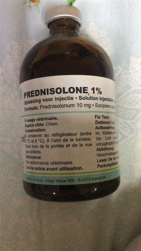 Prednisolone Tacoma Vet Medications