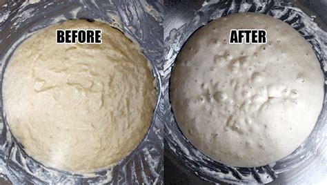 Complete Guide To Poolish Pizza Dough Plus Recipe Pala Pizza Ovens