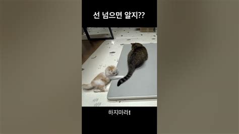 선 넘지 마라 Youtube