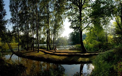 Online Crop Body Of Water Surrounded With Green Trees HD Wallpaper