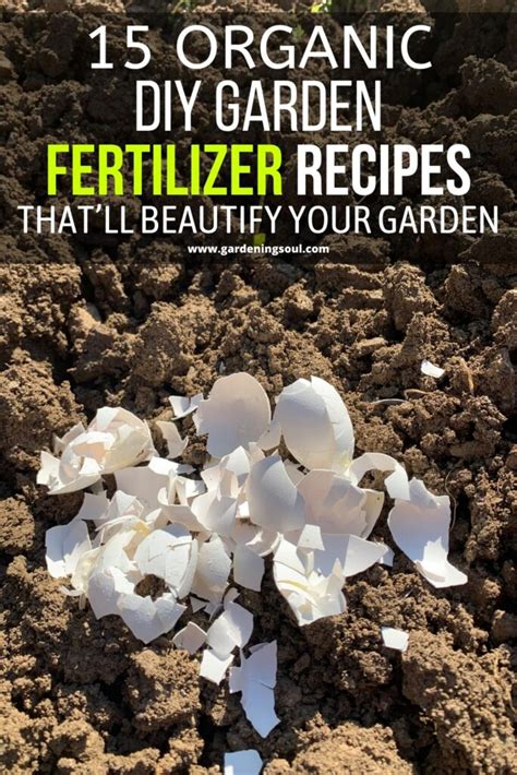 Organic Diy Garden Fertilizer Recipes Thatll Beautify Your Garden