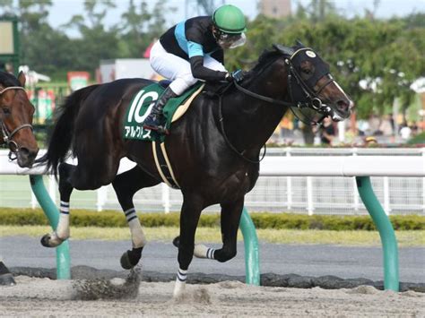 【エルムs想定】アルクトスは田辺裕信騎手、エアスピネルは武豊騎手 競馬ニュース