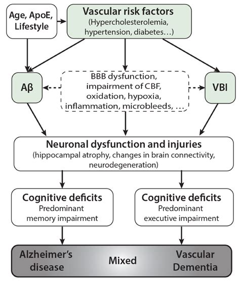 Interaction Between Ad Pathology And Vascular Pathology Villeneuve Lab