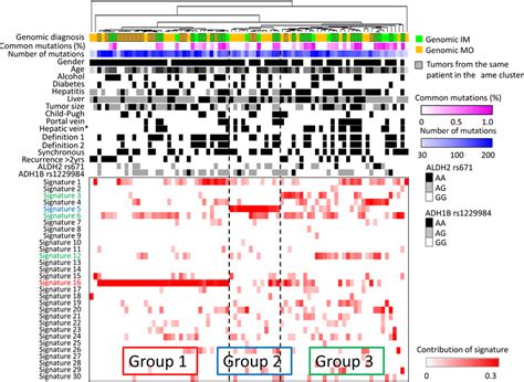 Mutational Signatures In Multiple Hepatocellular Carcinoma Hcc