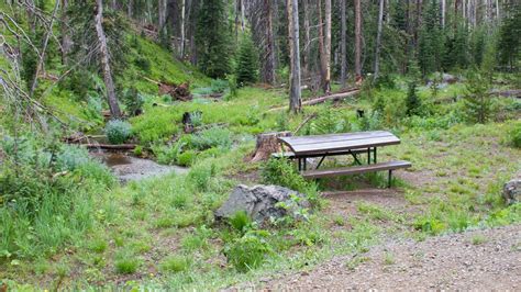 Eleanor Lake Picnic Area (U.S. National Park Service)