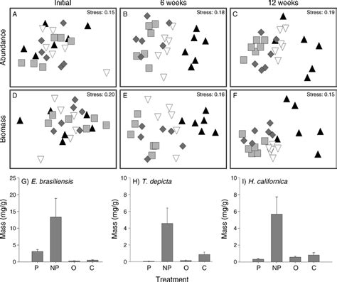 Multidimensional Scaling MDS Plots Based On Bray Curtis Similarity