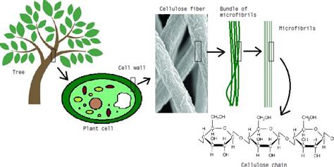 Figure 3 from Production of Dialdehyde Cellulose and Periodate ...