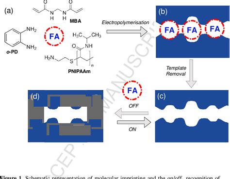 Figure 1 From On Off Switchable Electrochemical Folic Acid Sensor Based